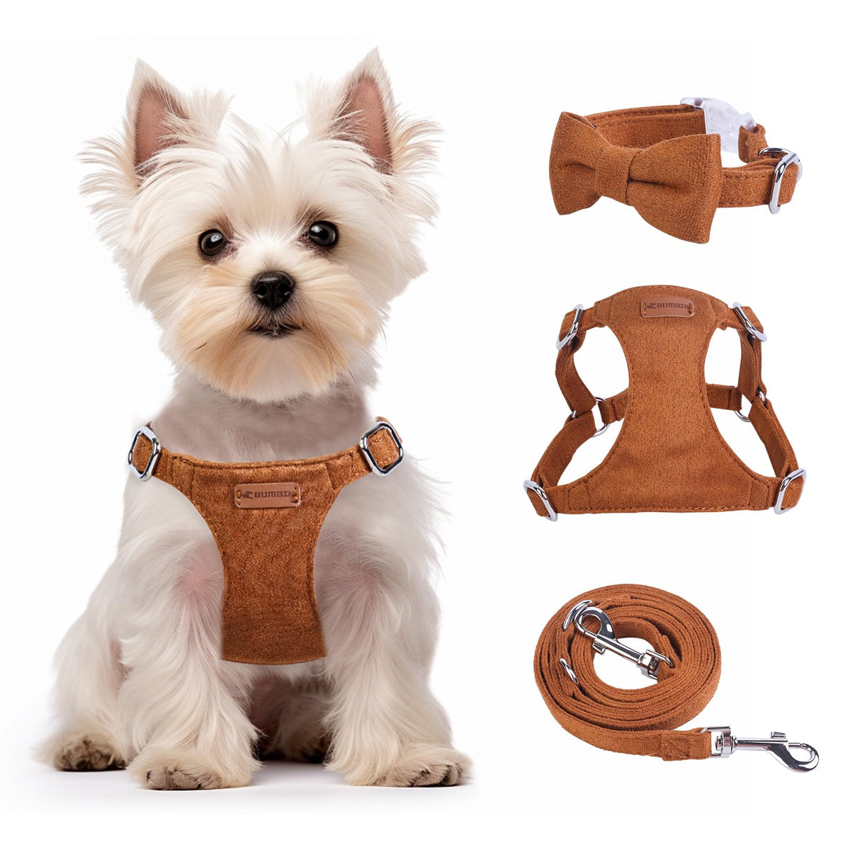 Pet Collar, Leashes, & Harnesses