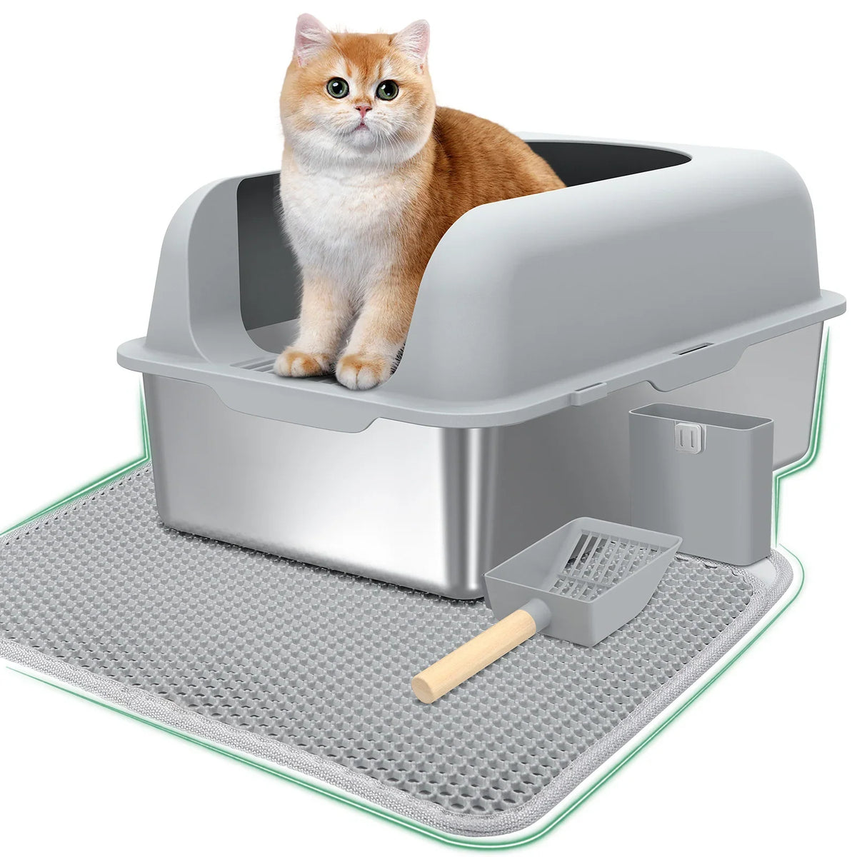 Litter Box