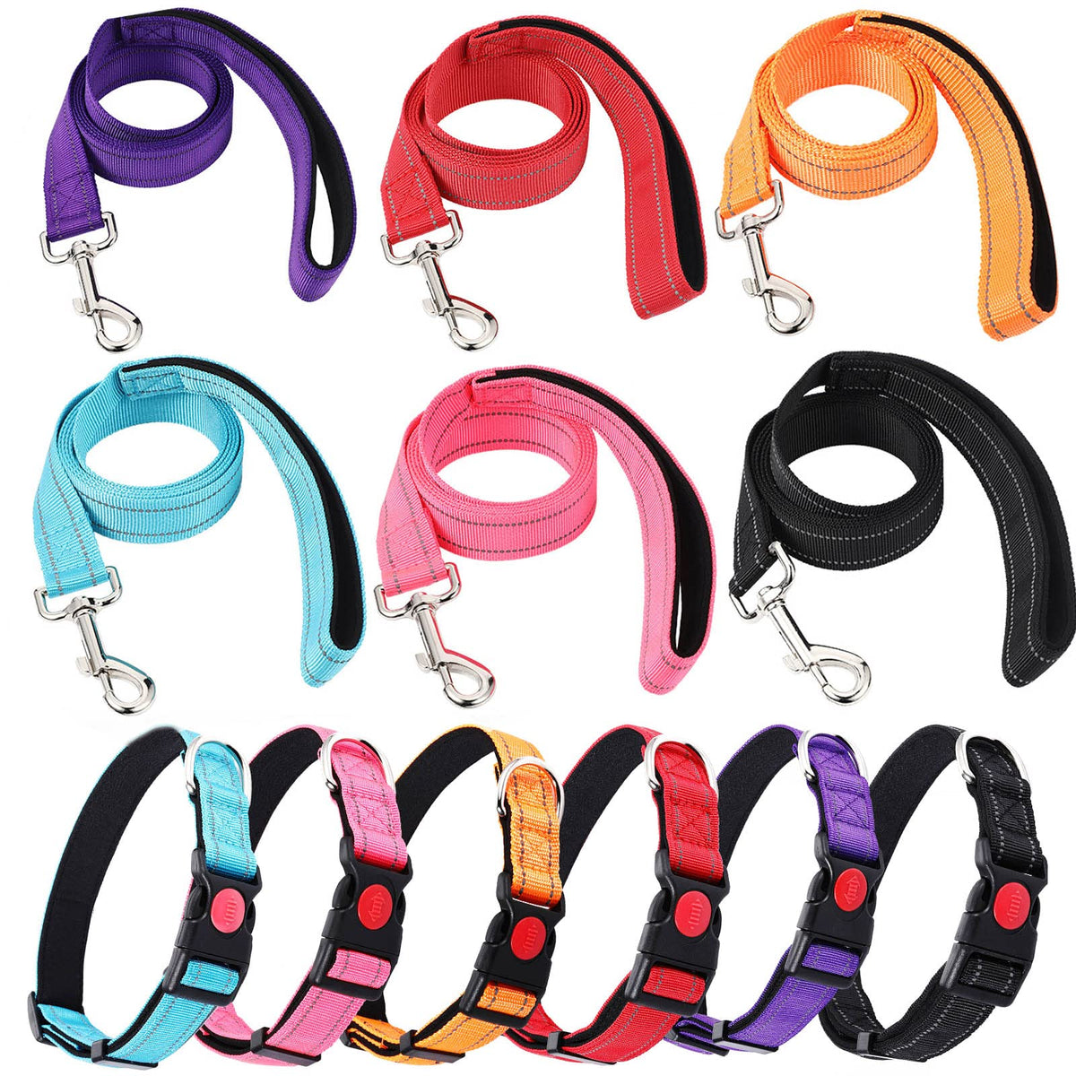 Collars, Leashes, and Harnesses