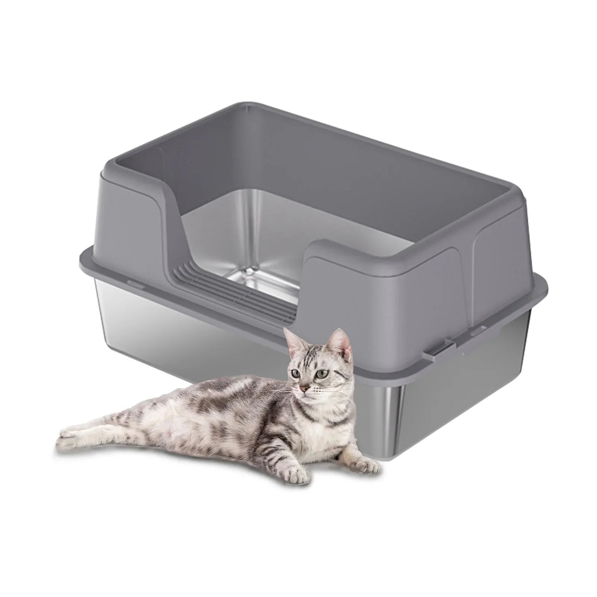 Cat Litter Boxes and Accesories