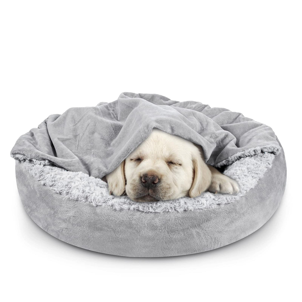 Beds & Snuggles