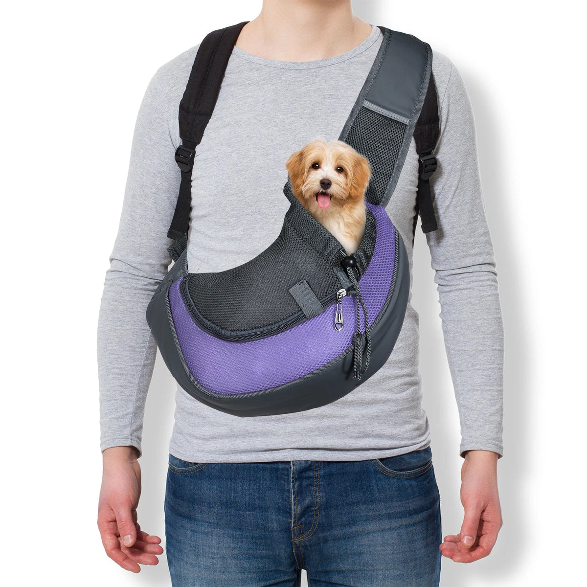 Pets Out and About!