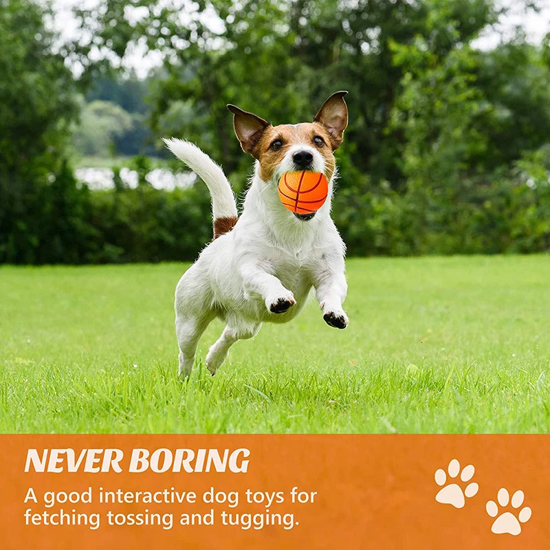 Benepaw Safe EVA Dog Ball Durable Bouncy Fetch Basketball Chew Pet Toys For Small Medium Dogs Traning Puppy Game Interactive